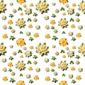 Seamless pattern frangipani flower, pollen and leaves on white background